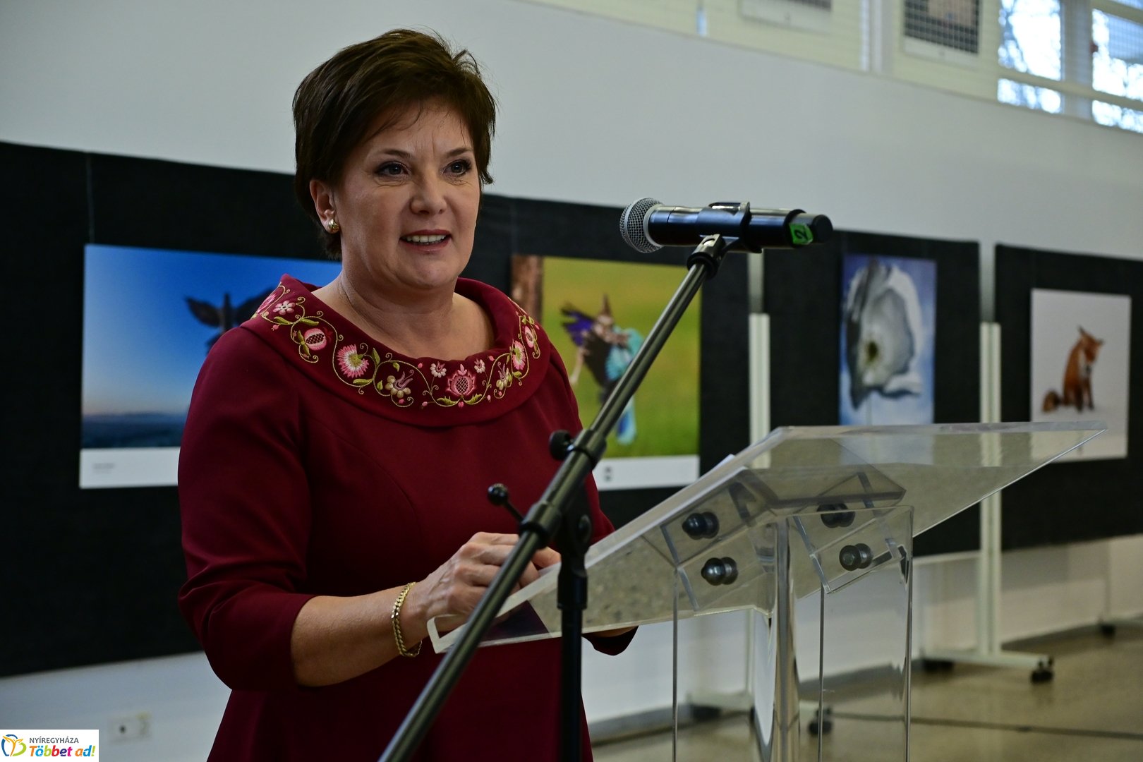 Magyarország 365 fotókiállítás Nyíregyházán 2025 novemberében