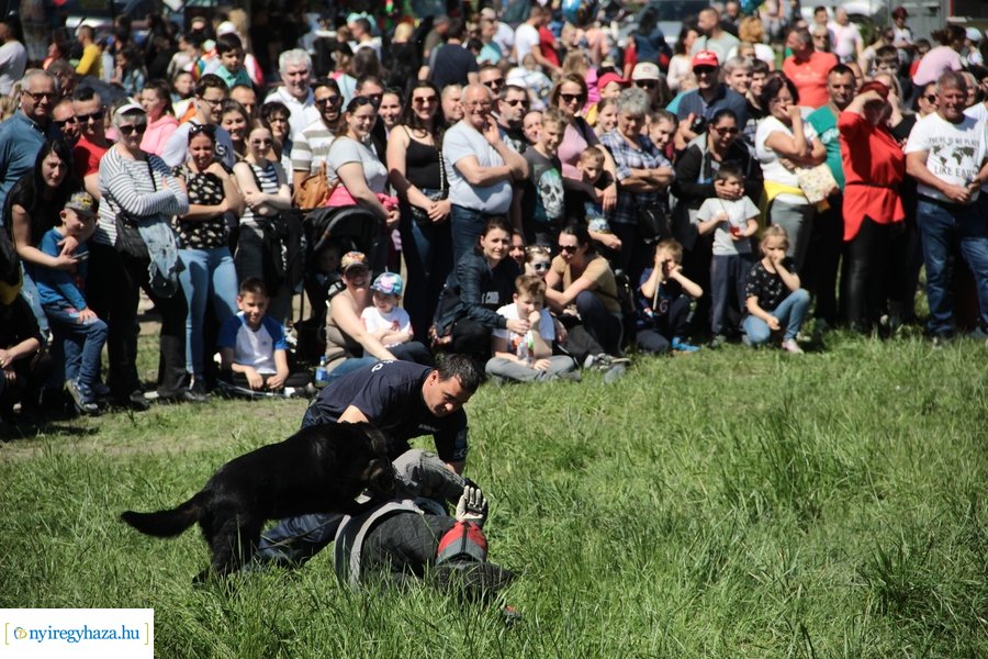 Majális a Bujtoson - 2023