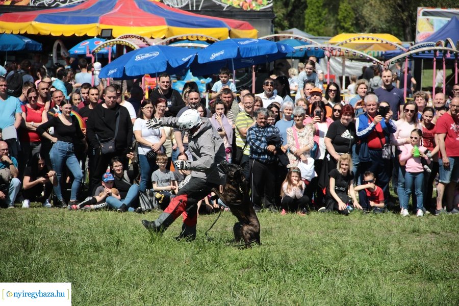 Majális a Bujtoson - 2023