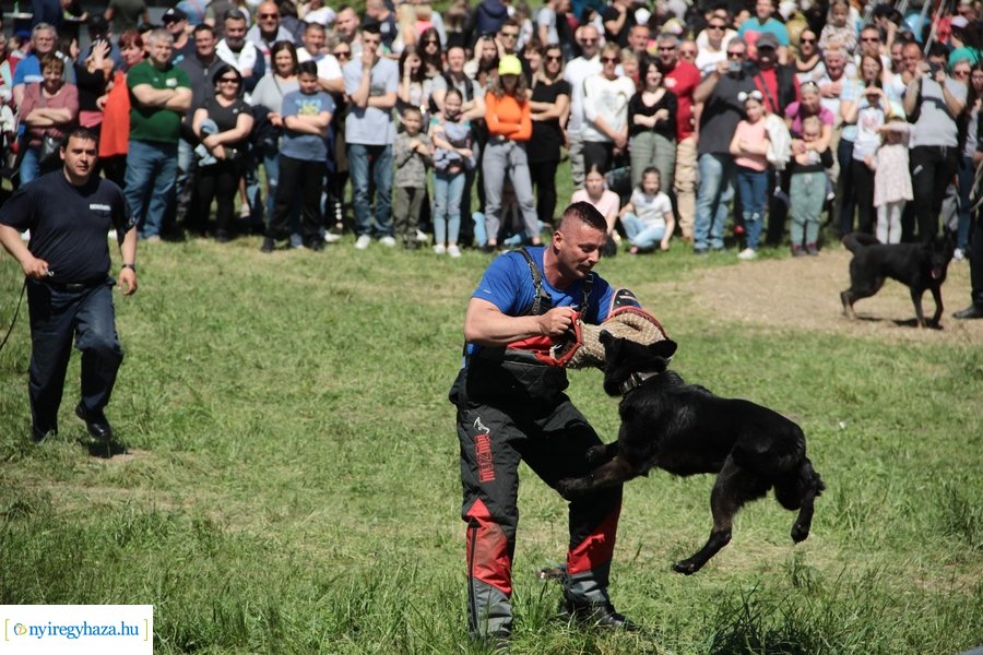 Majális a Bujtoson - 2023