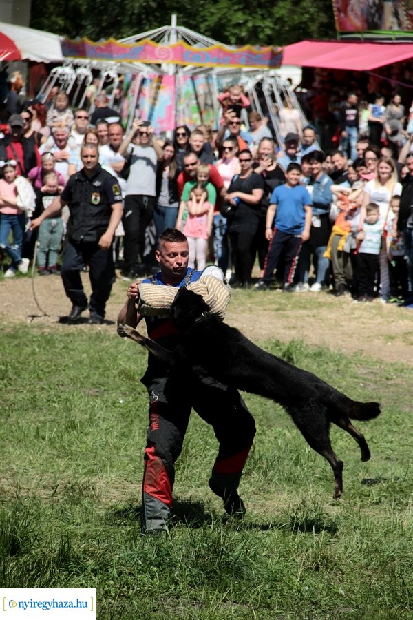 Majális a Bujtoson - 2023
