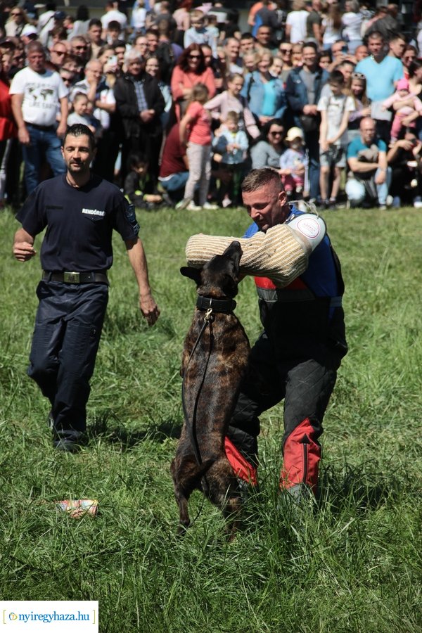 Majális a Bujtoson - 2023