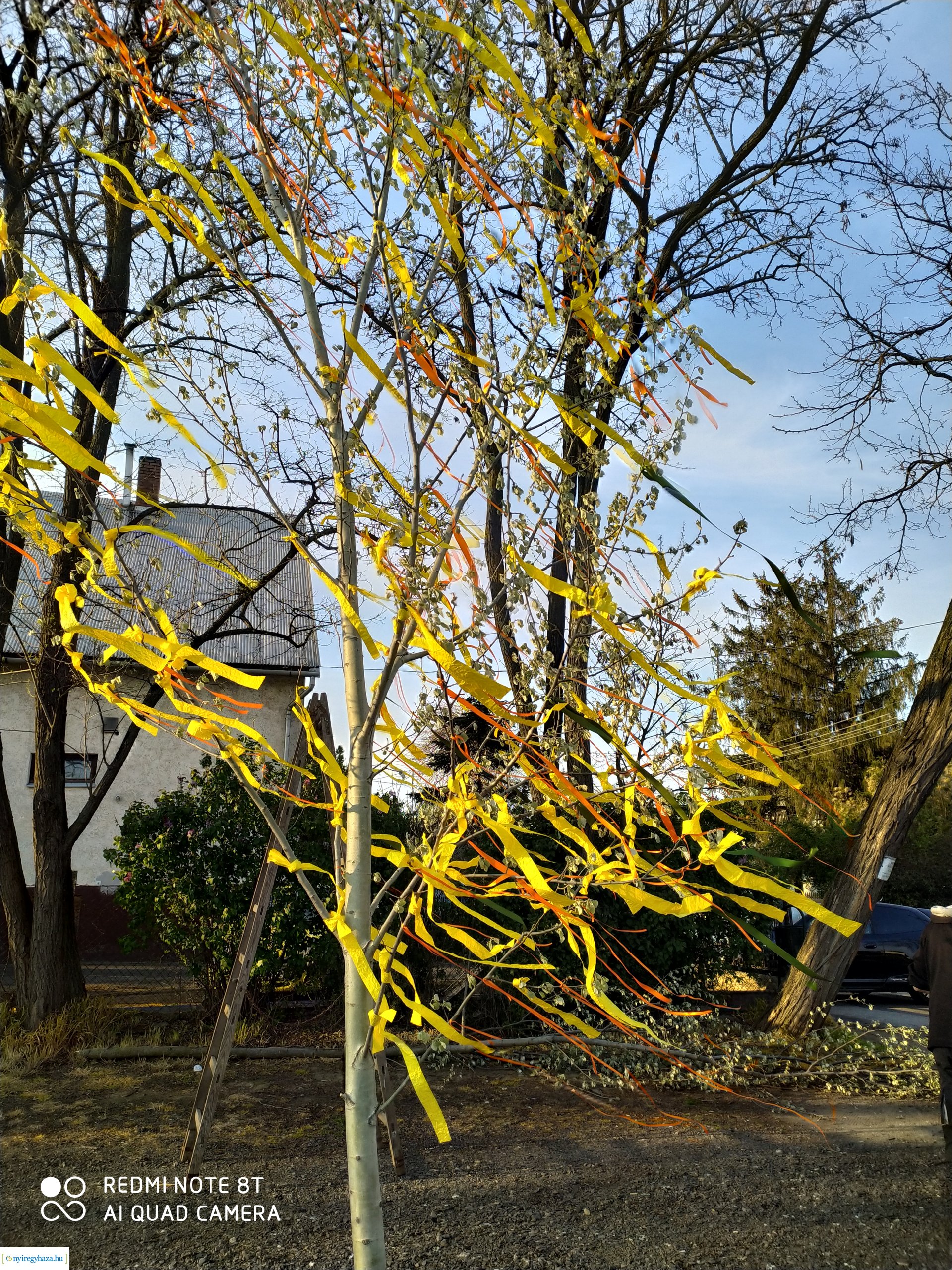 Májusfát díszített az Orosért Közéleti Egyesület