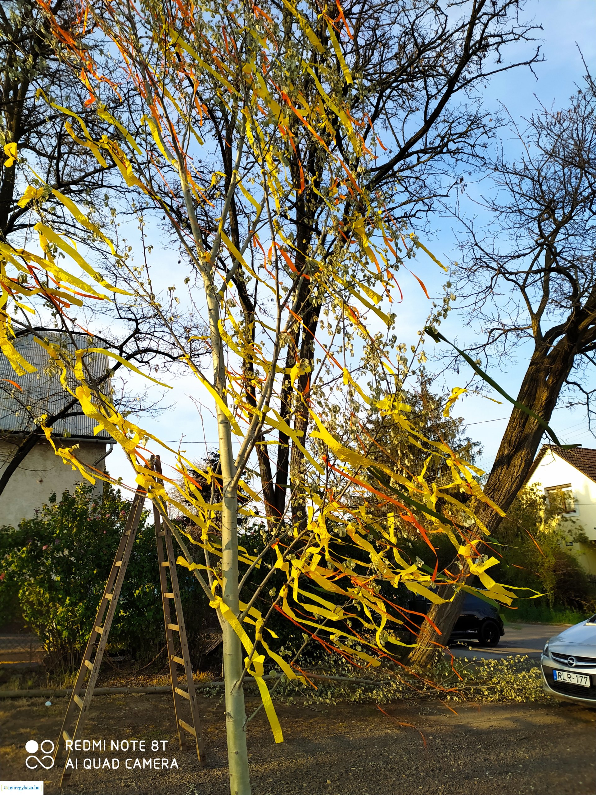 Májusfát díszített az Orosért Közéleti Egyesület