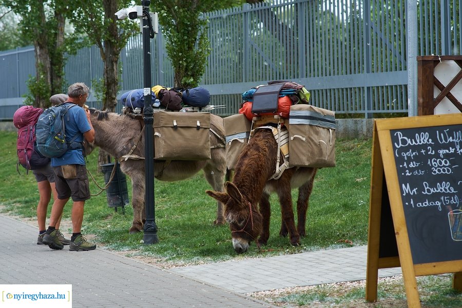 Májusi Sóstó 2022