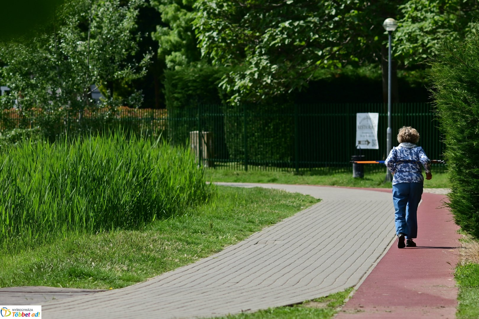 Májusi Sóstó pillanatokban - 2026