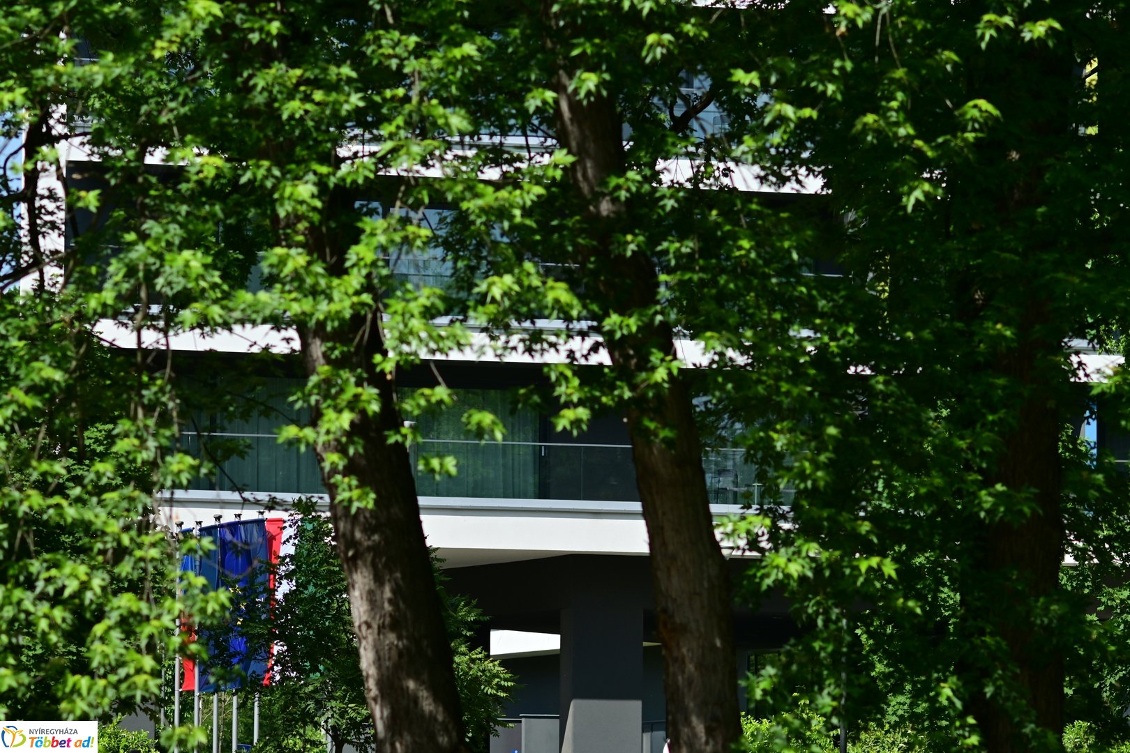 Májusi Sóstó pillanatokban - 2026