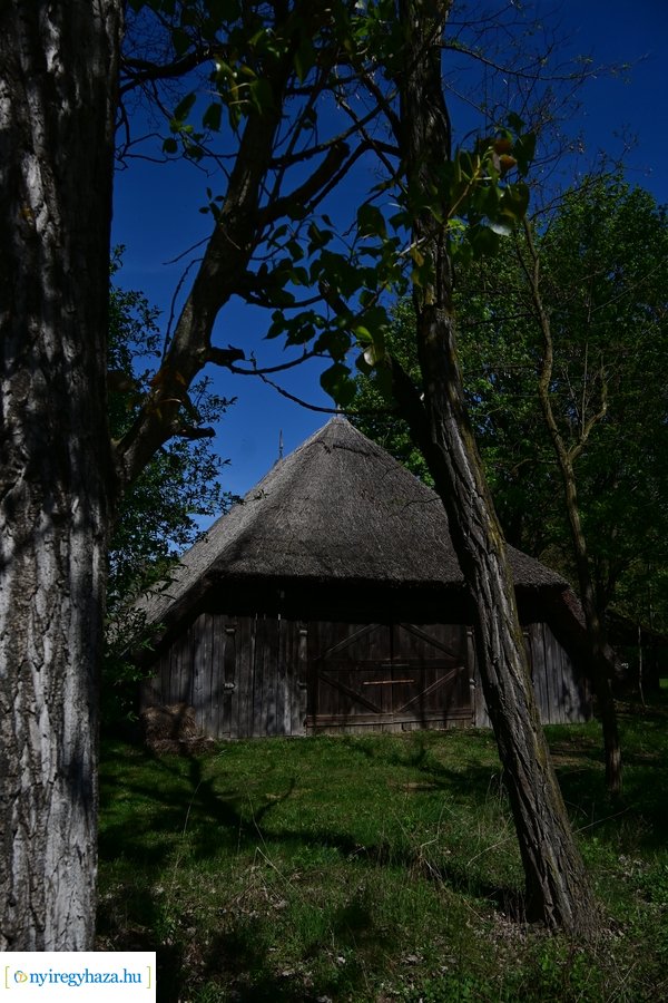 Mandala Nyár 2024 beharangozó