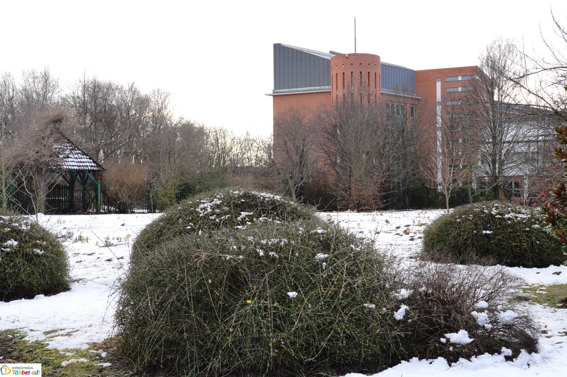 Már nyílnak a korai virágok