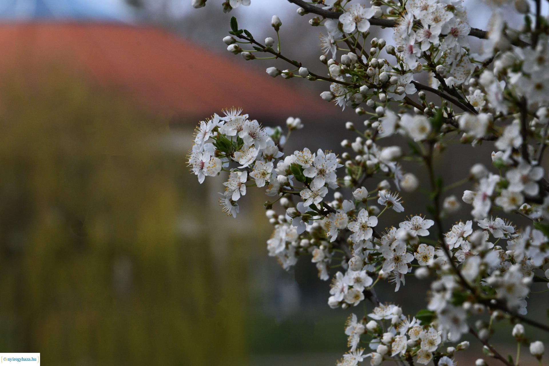 Márciusi séta Sóstón