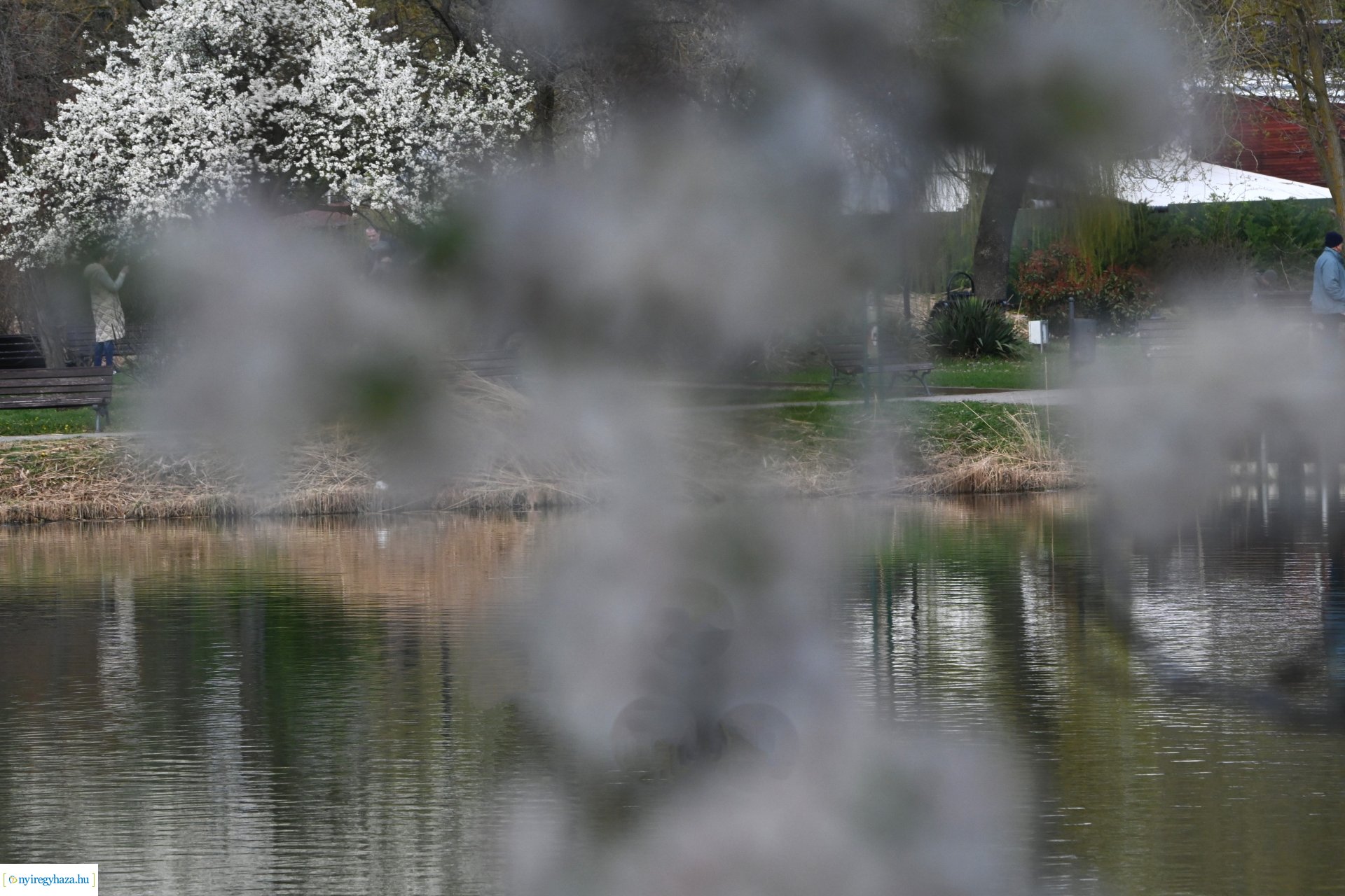 Márciusi séta Sóstón