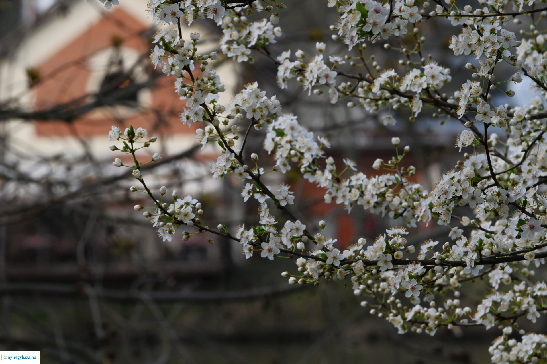 Márciusi séta Sóstón