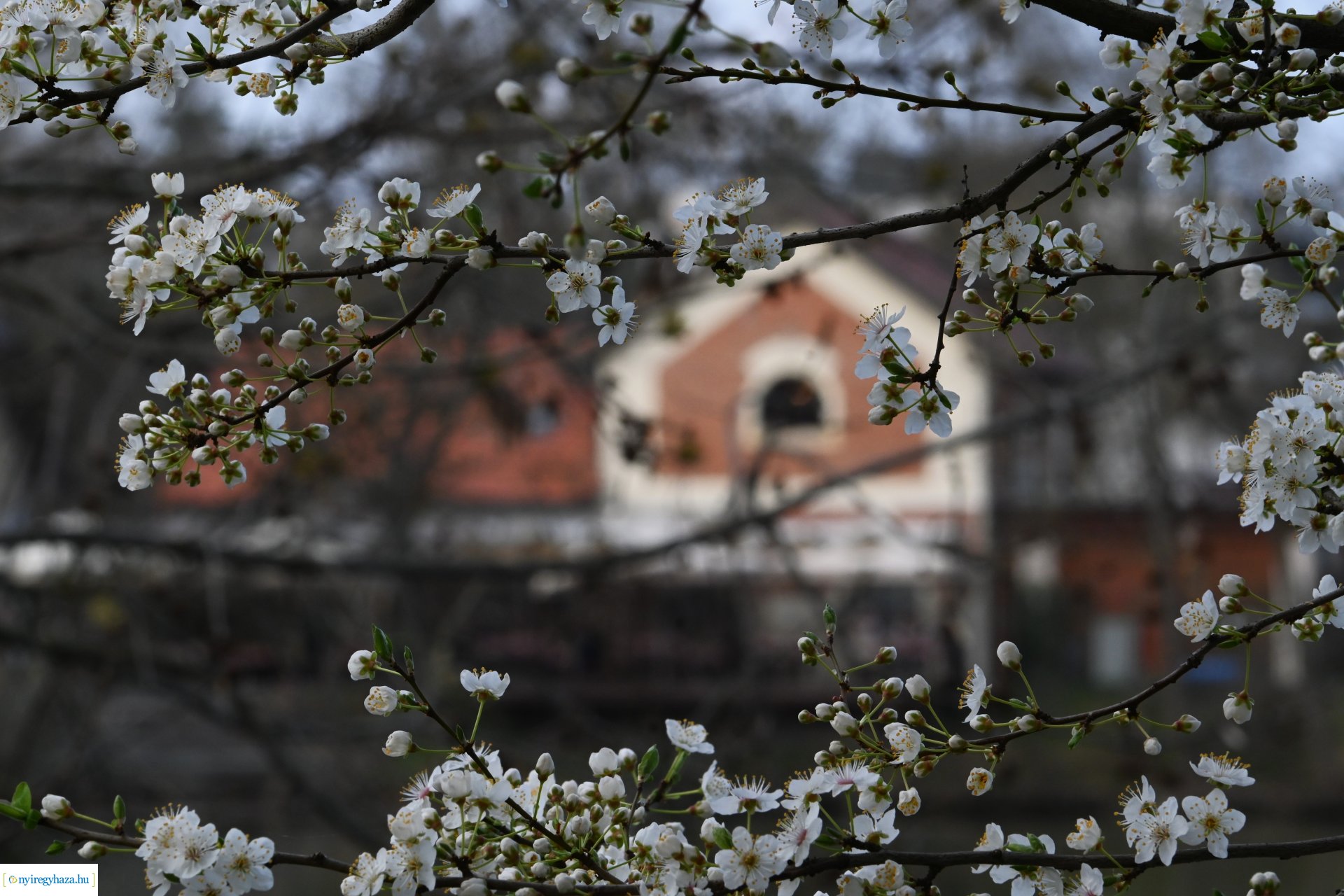 Márciusi séta Sóstón