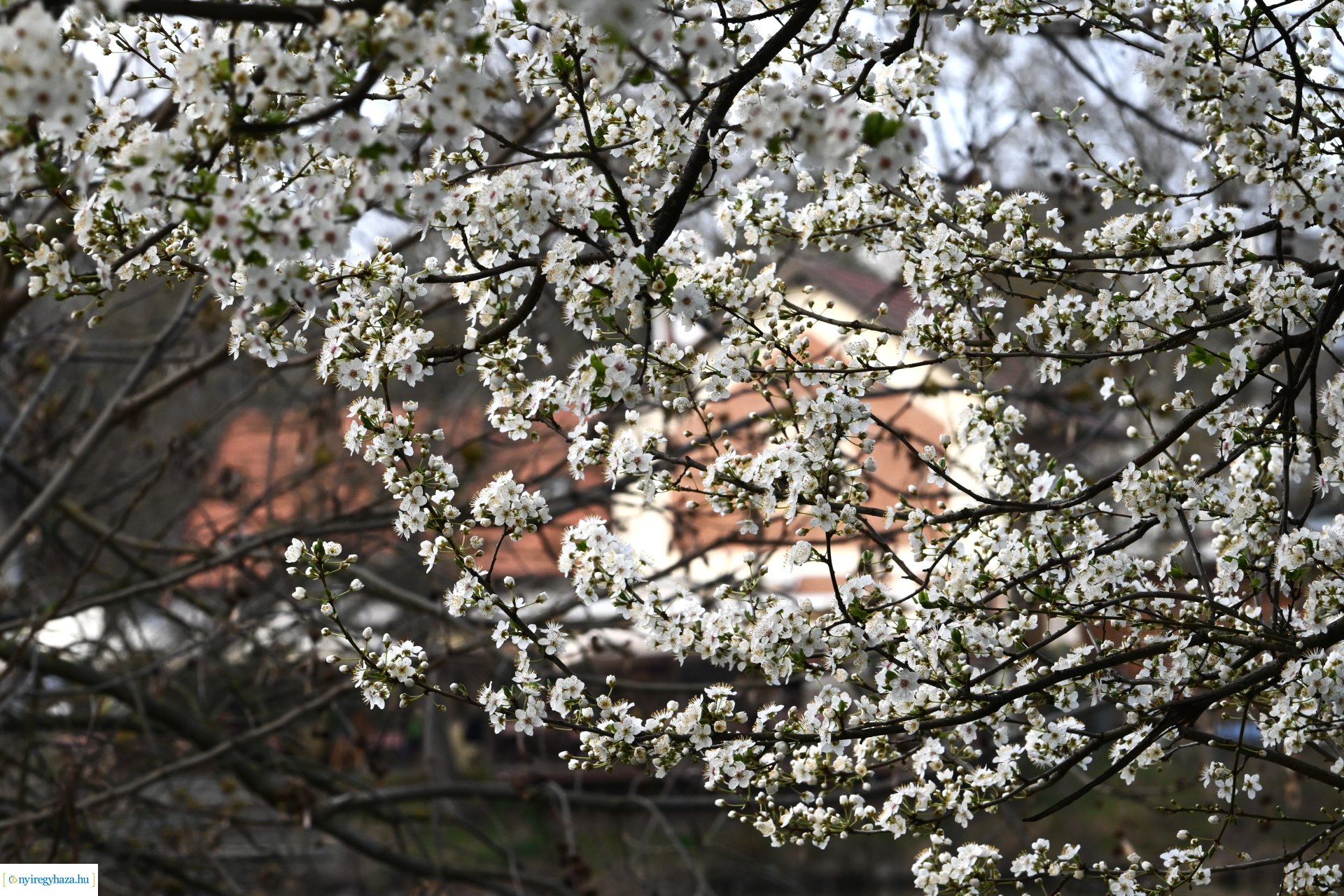 Márciusi séta Sóstón