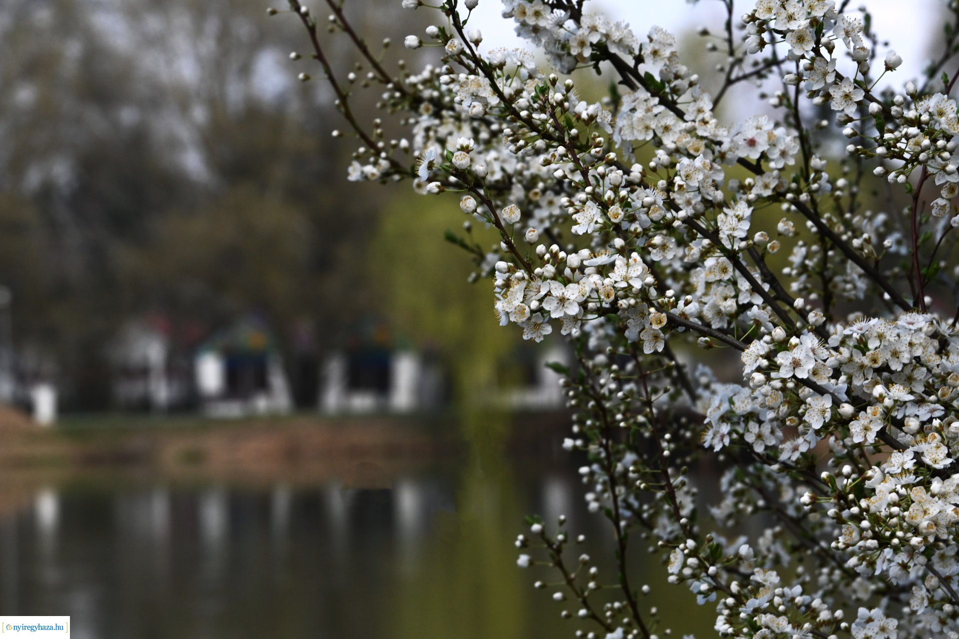 Márciusi séta Sóstón