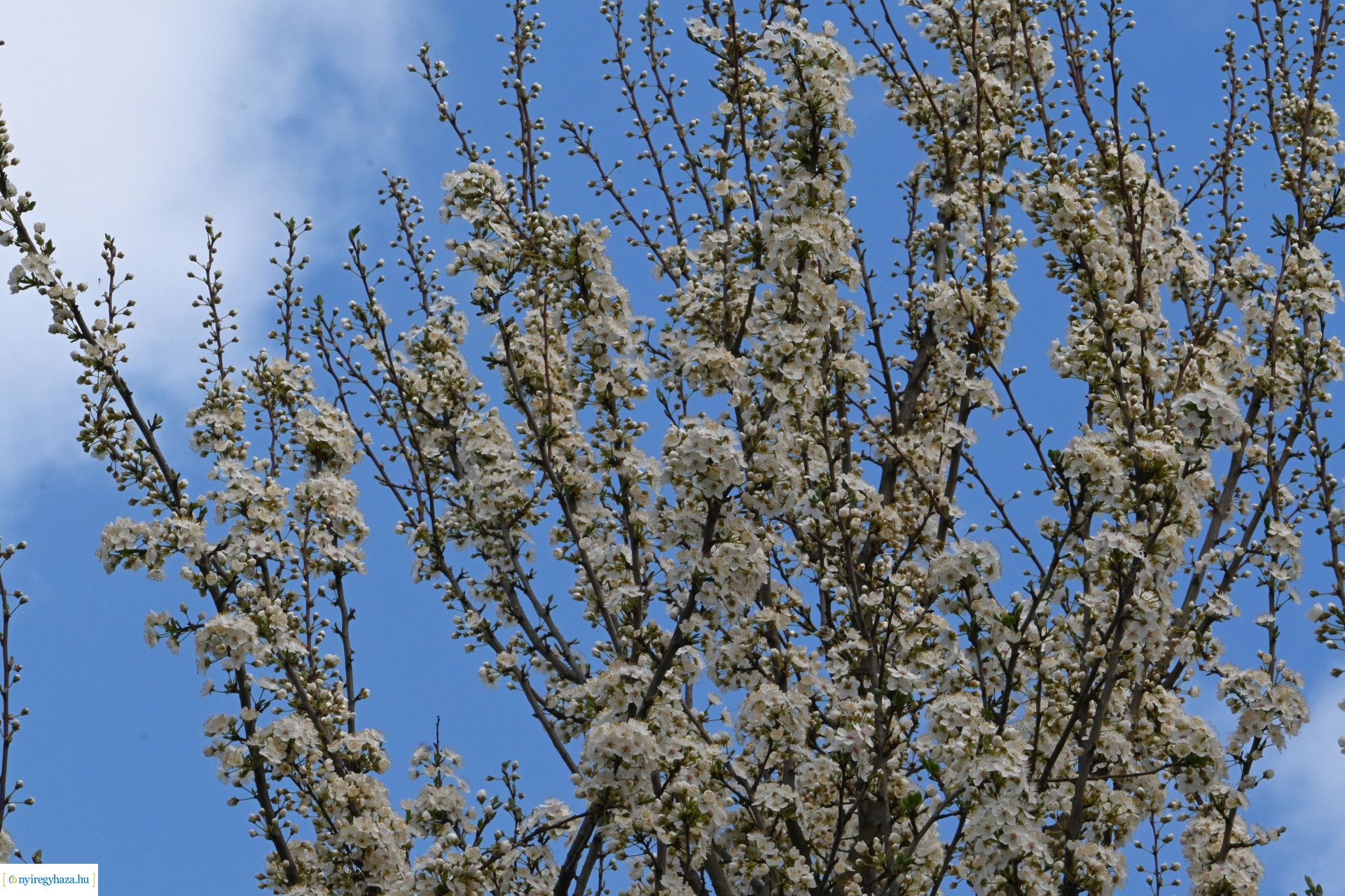 Márciusi séta Sóstón