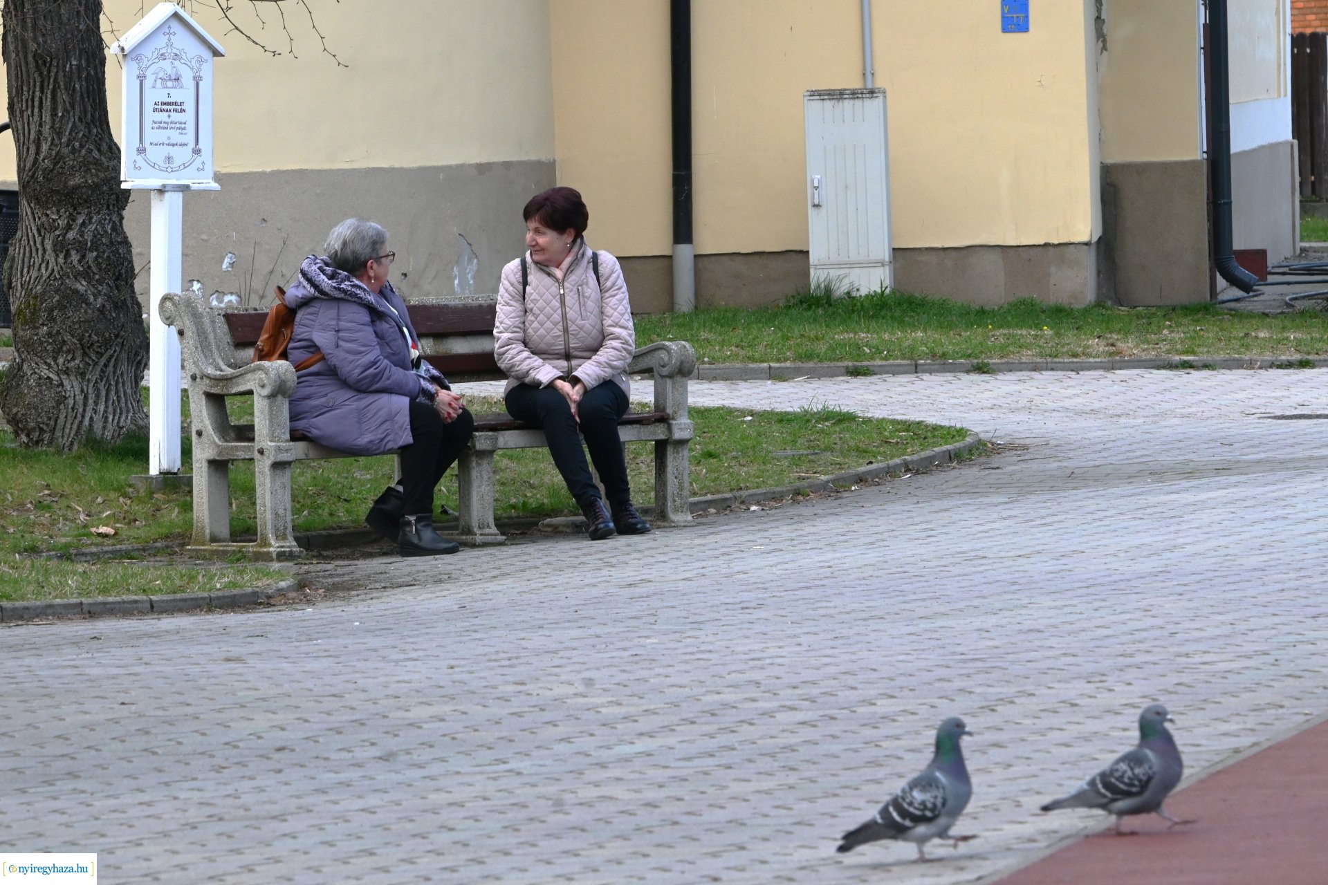 Márciusi séta Sóstón