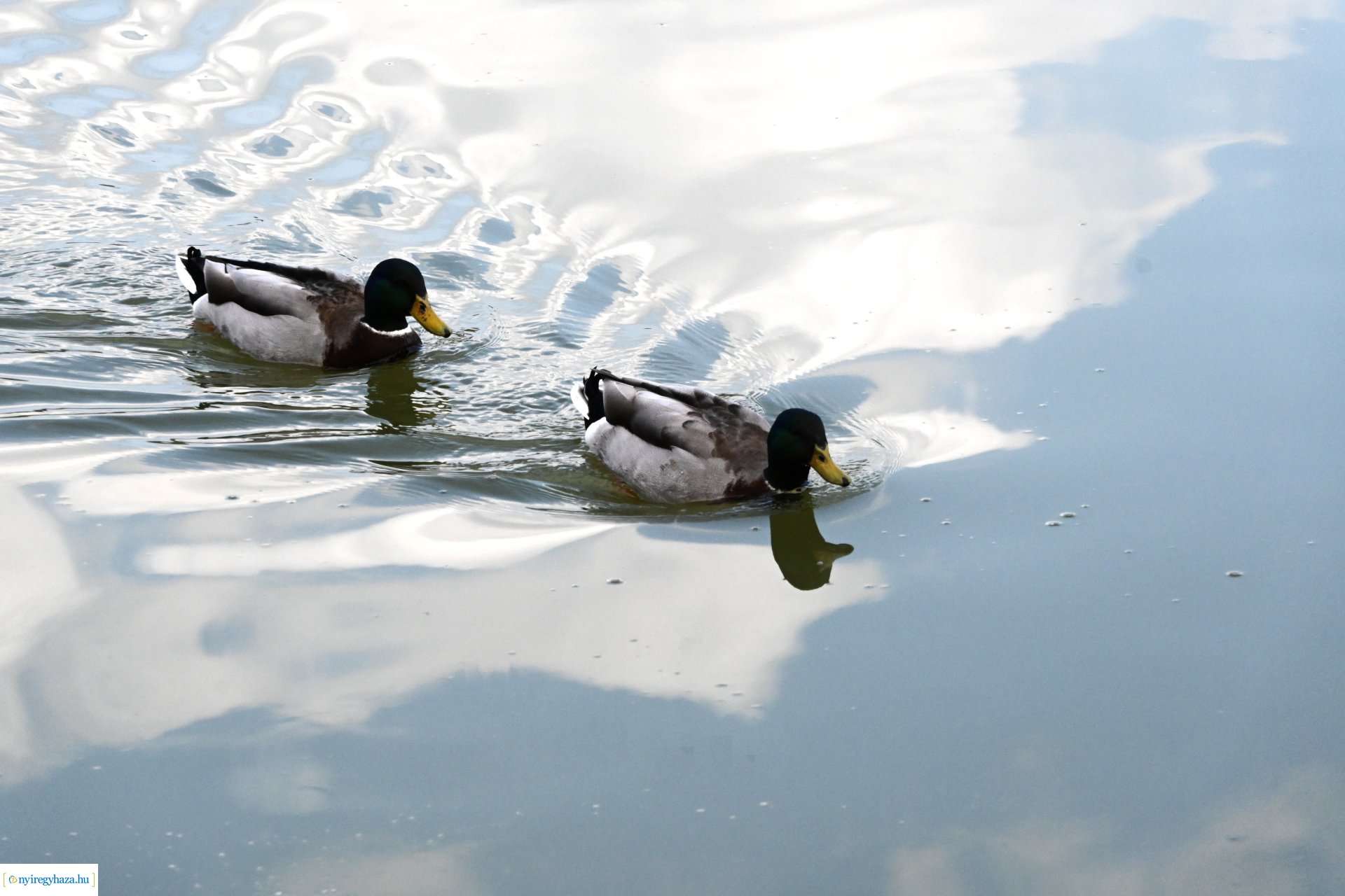 Márciusi séta Sóstón