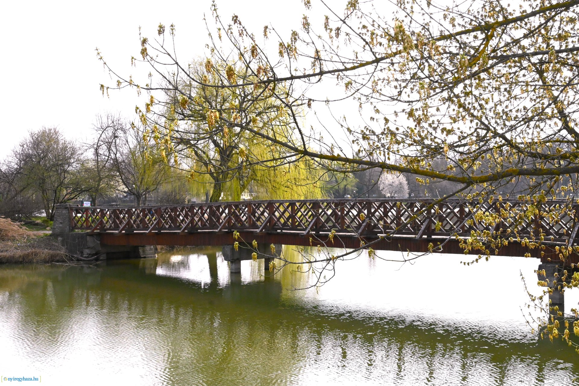 Márciusi séta Sóstón