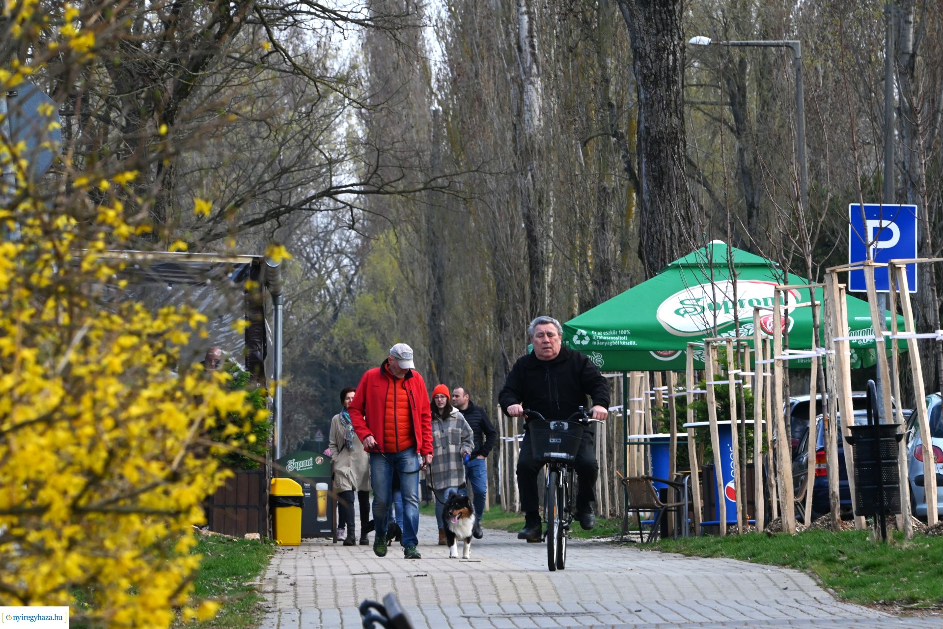 Márciusi séta Sóstón