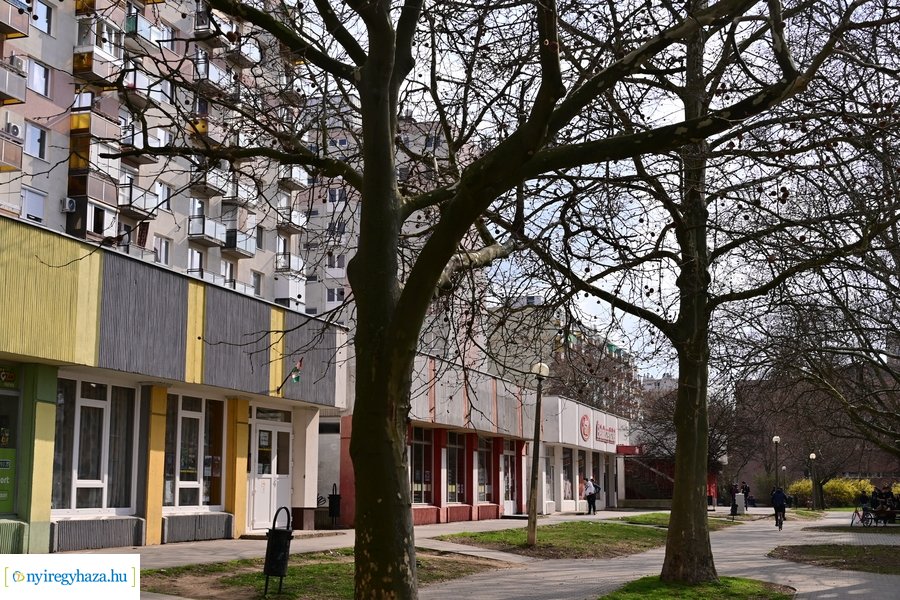 Márciusi tavasz a Jósavárosban 2024