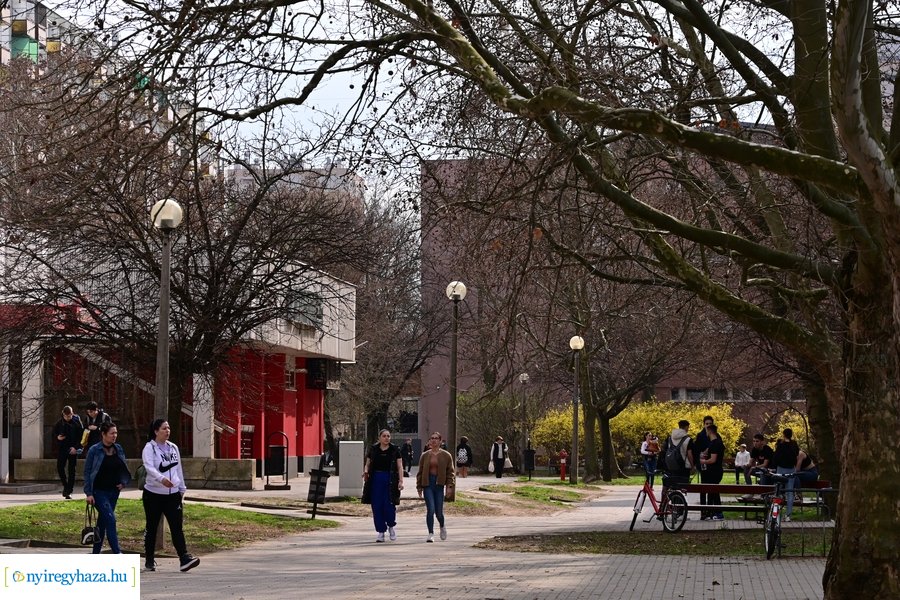 Márciusi tavasz a Jósavárosban 2024