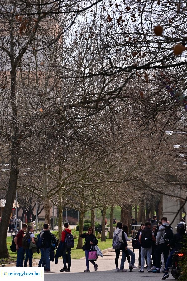 Márciusi tavasz a Jósavárosban 2024