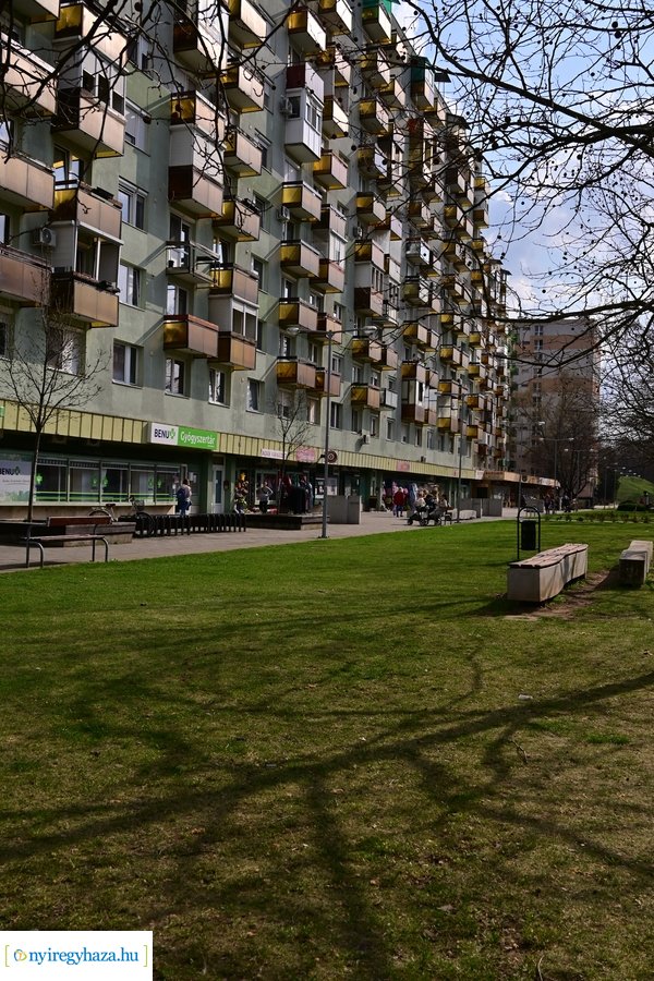 Márciusi tavasz a Jósavárosban 2024