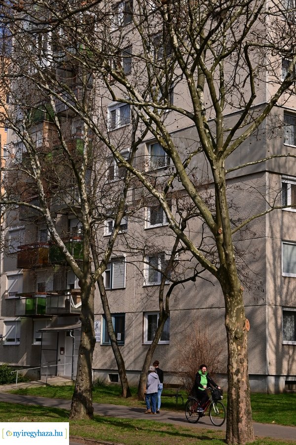 Márciusi tavasz a Jósavárosban 2024