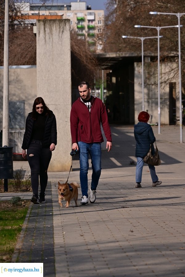 Márciusi tavasz a Jósavárosban 2024