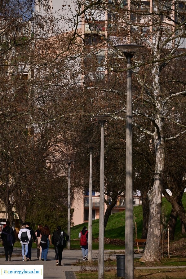 Márciusi tavasz a Jósavárosban 2024