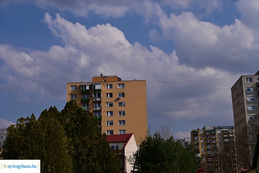 Márciusi tavasz a Jósavárosban 2024