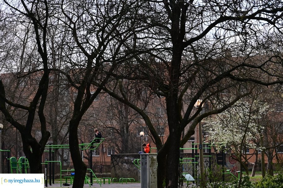 Márciusi tavasz a Jósavárosban 2024