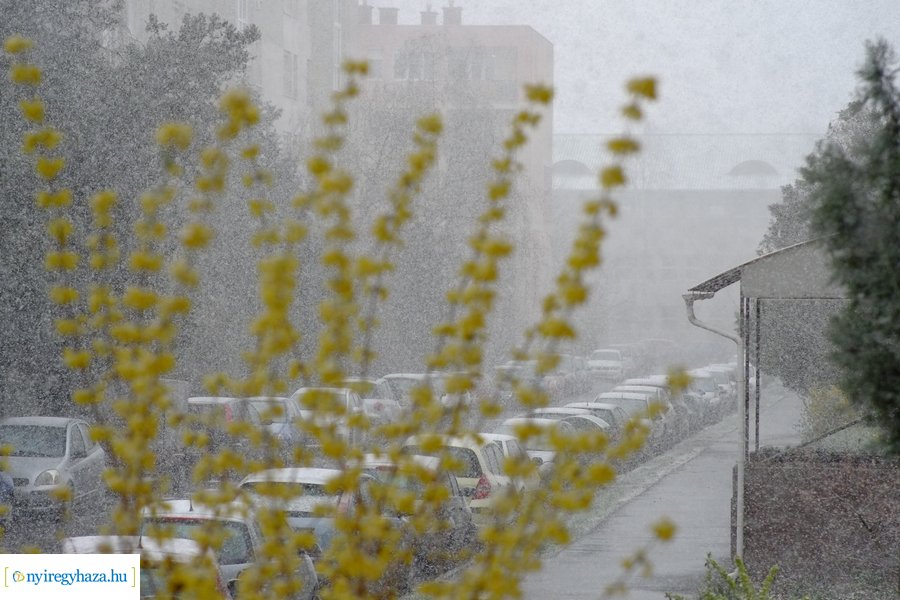 Márciusi tréfa 20230328