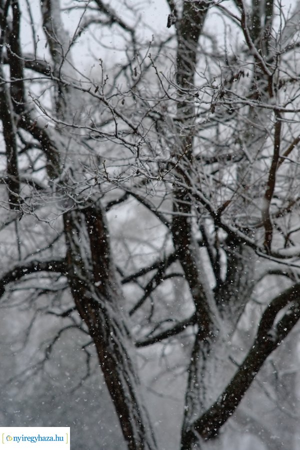 Márciusi tréfa 20230328