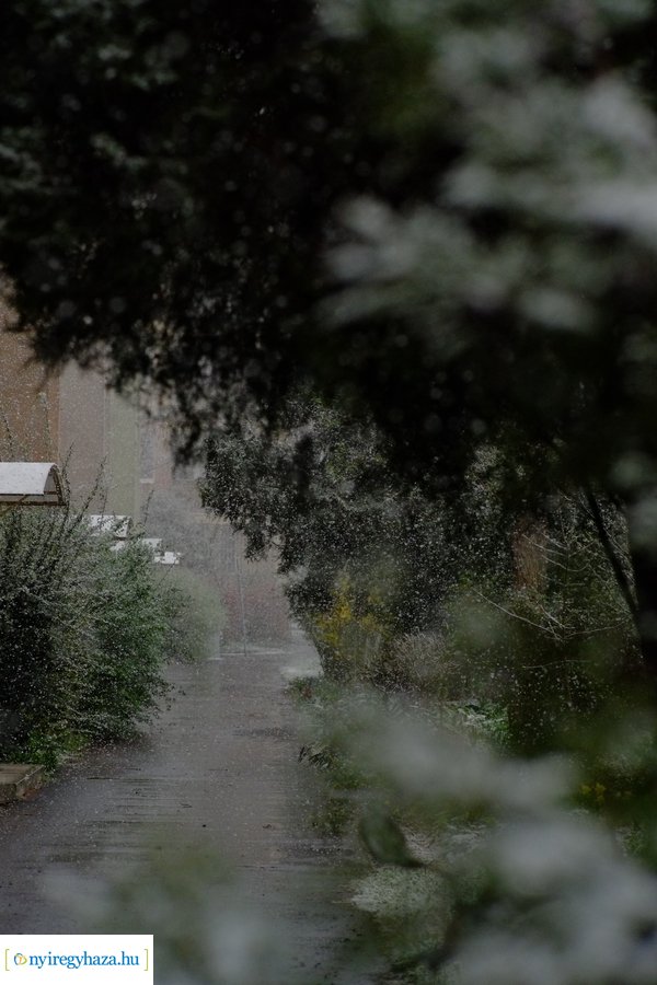 Márciusi tréfa 20230328