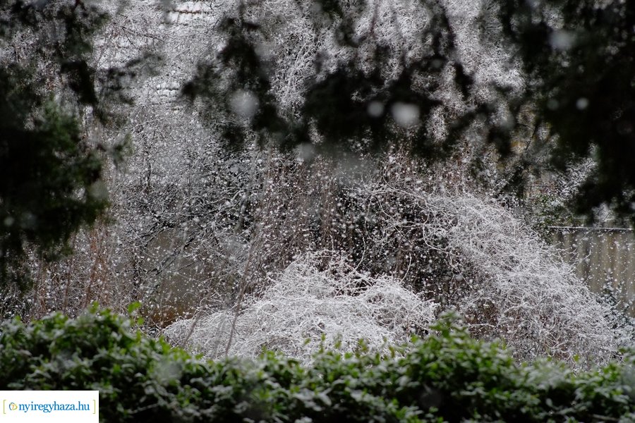 Márciusi tréfa 20230328