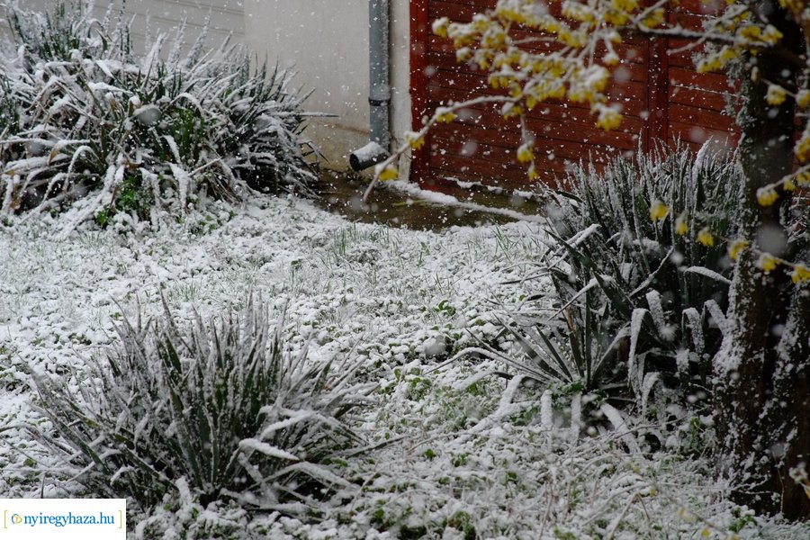 Márciusi tréfa 20230328