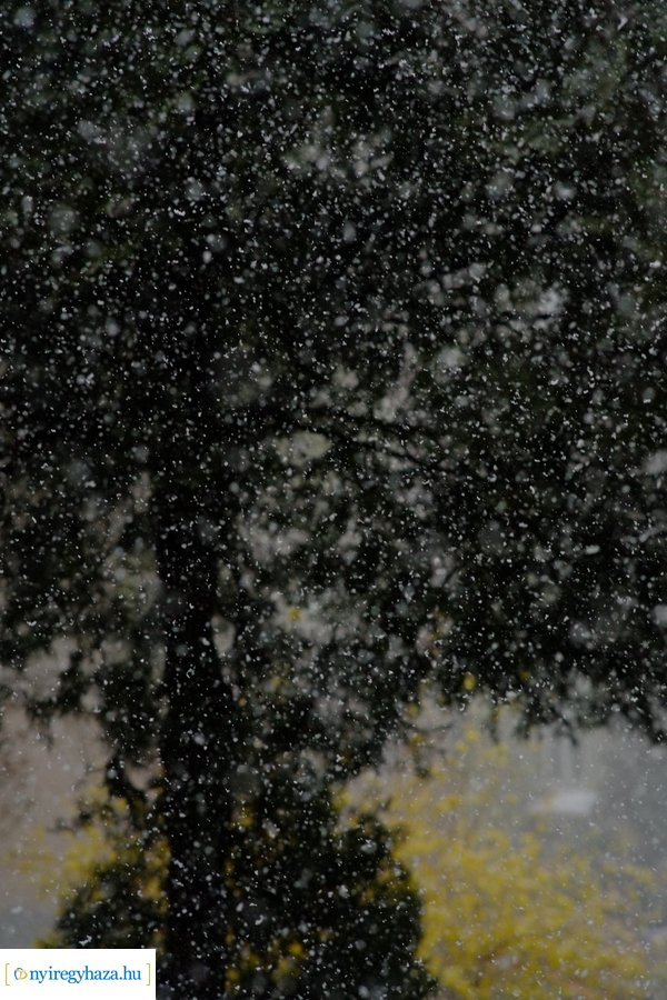 Márciusi tréfa 20230328