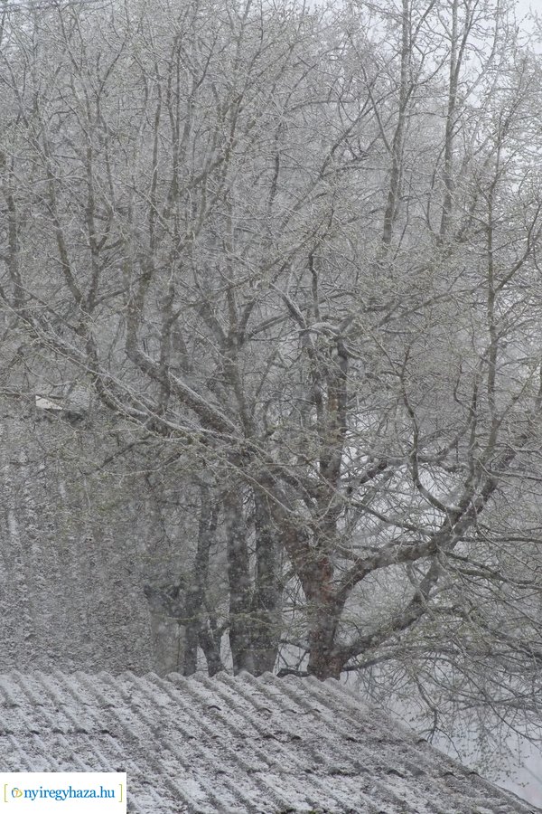 Márciusi tréfa 20230328