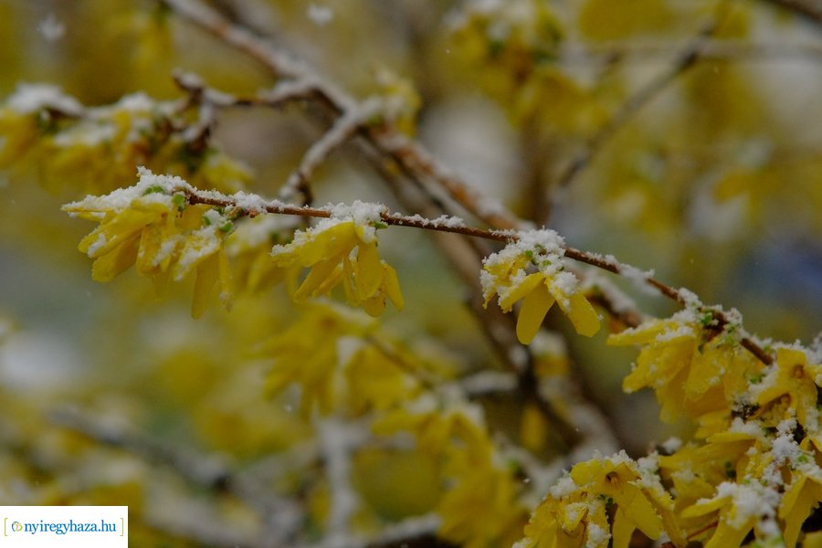 Márciusi tréfa 20230328