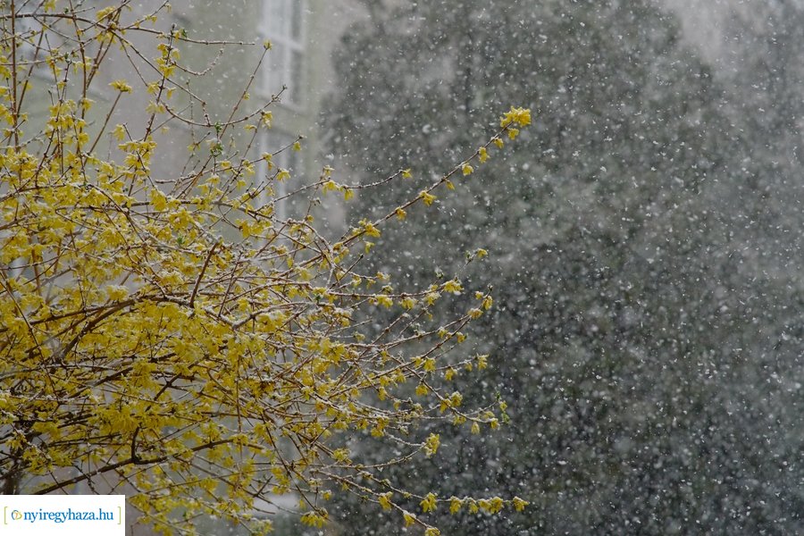 Márciusi tréfa 20230328