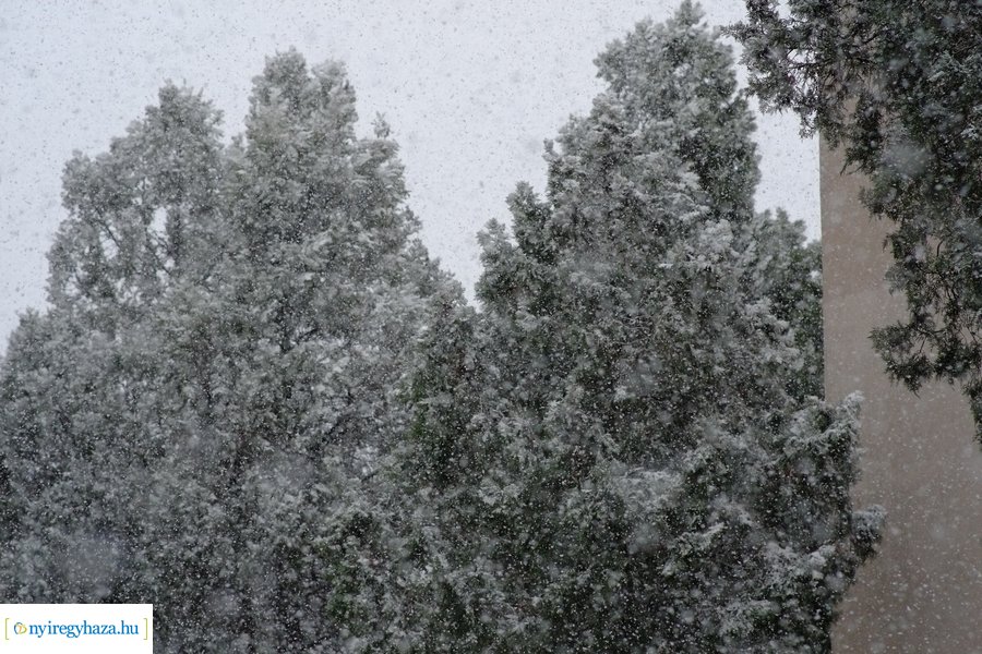 Márciusi tréfa 20230328