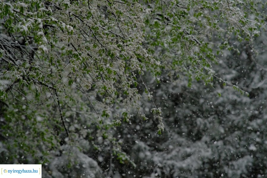 Márciusi tréfa 20230328