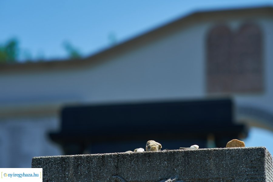 Mártír megemlékezés 20220612