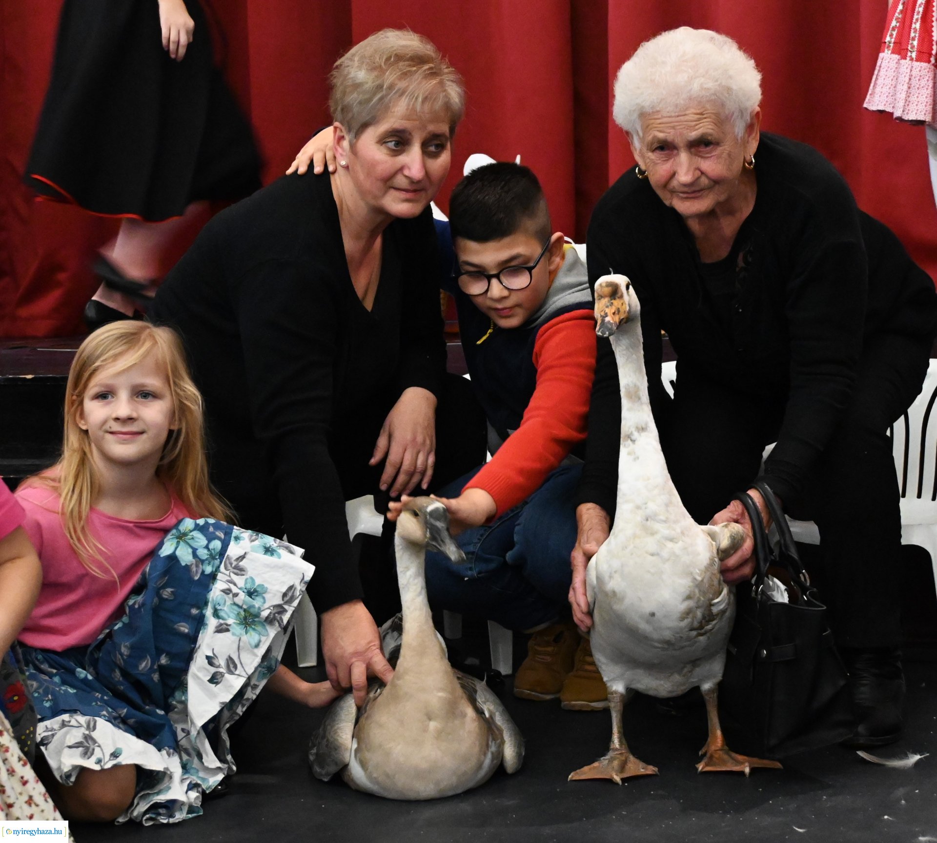 Márton nap a Kölyökvárban