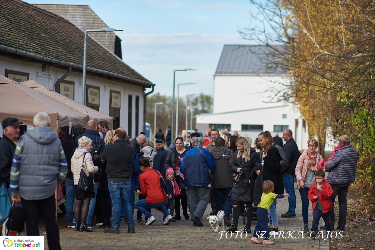 Márton-napi vigasságok 2019