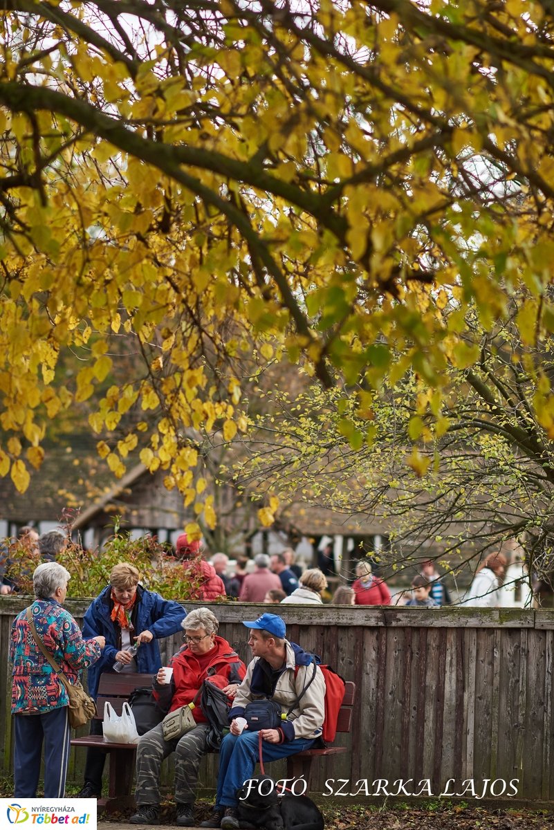 Márton-napi vigasságok 2019