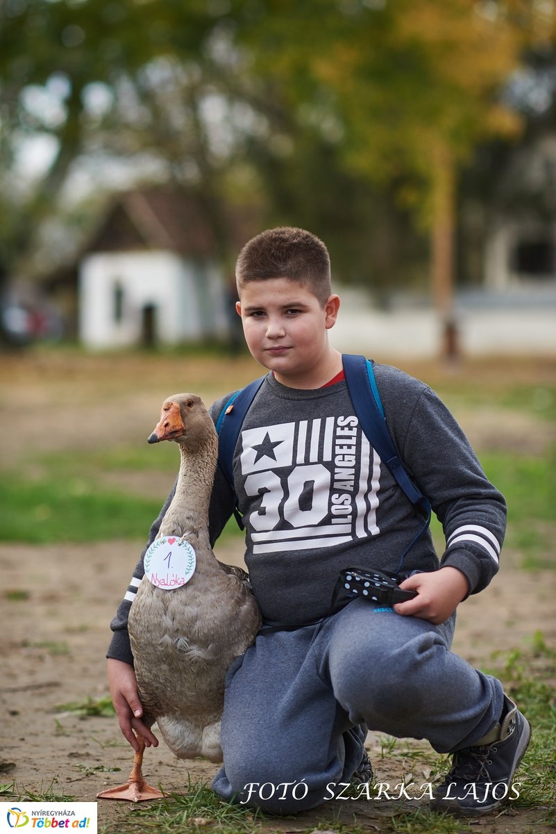 Márton-napi vigasságok 2019