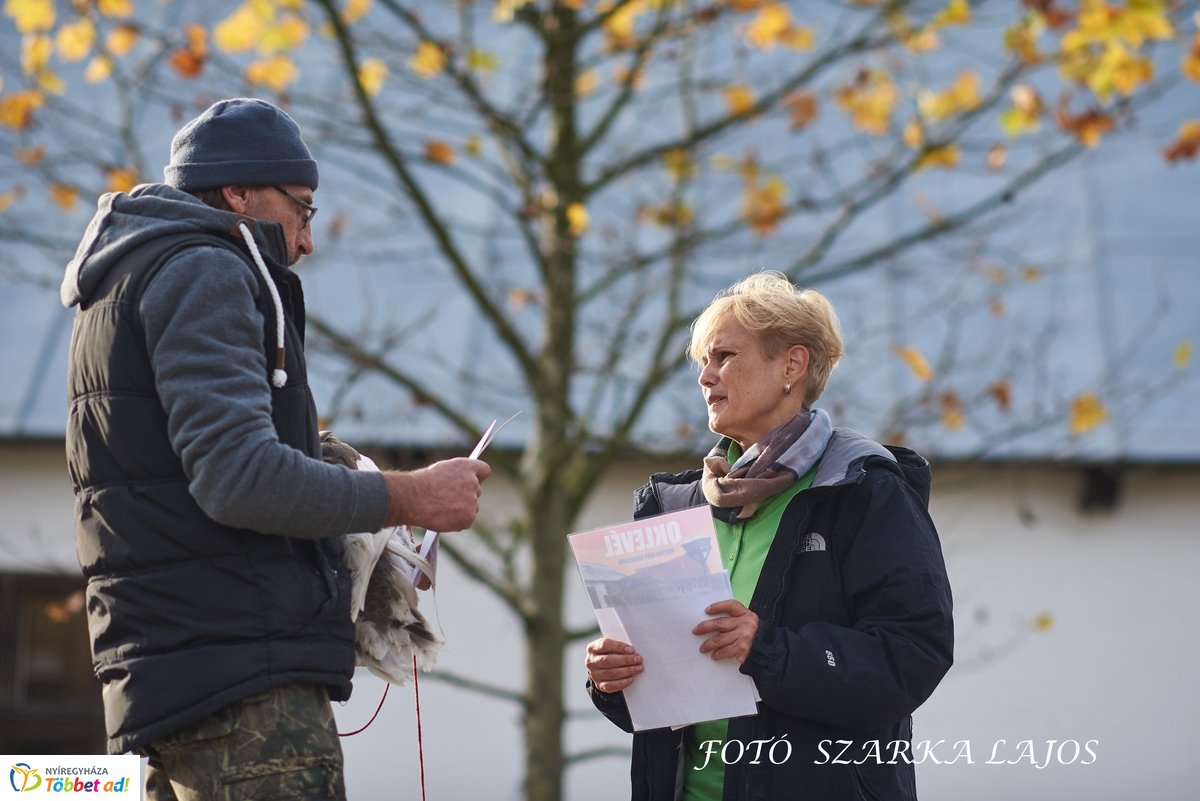 Márton-napi vigasságok 2019